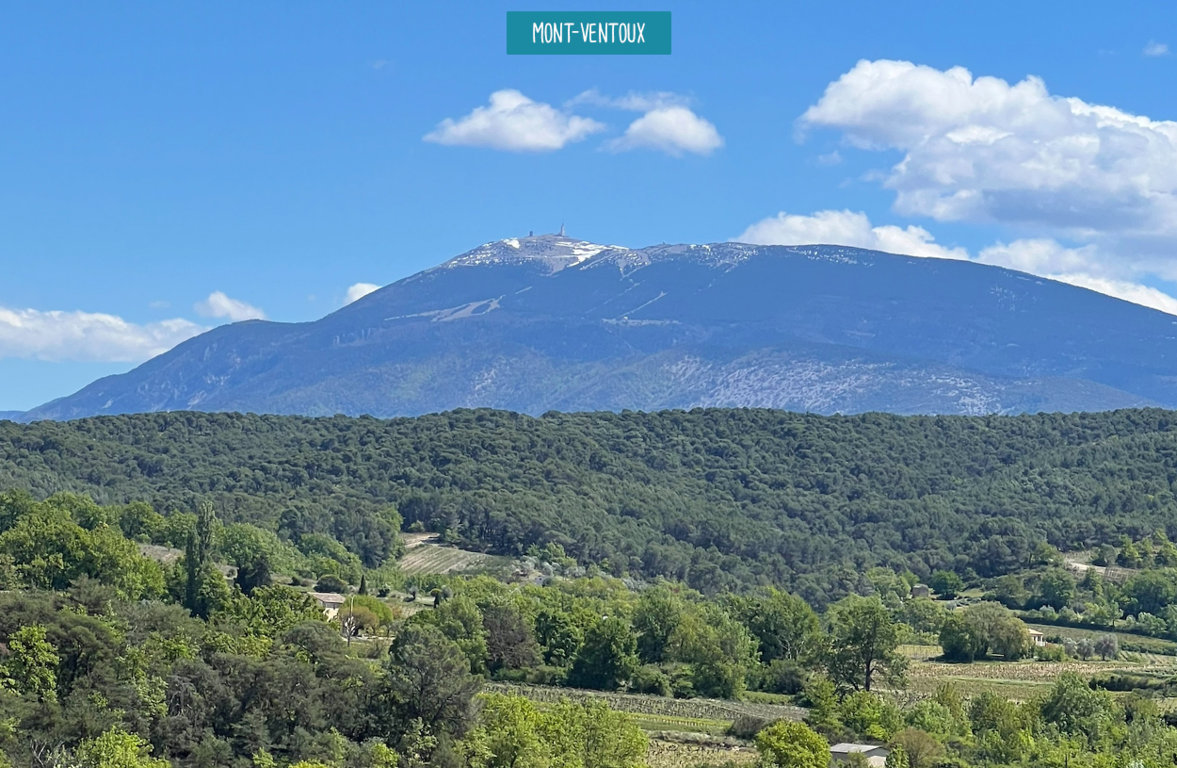 Le Soleil de Provence — photo 3
