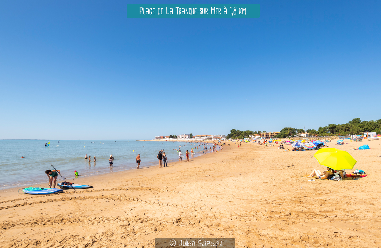 Les blancs chênes — photo 3