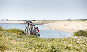 Vacances en Vendée : découvrez la région à vélo