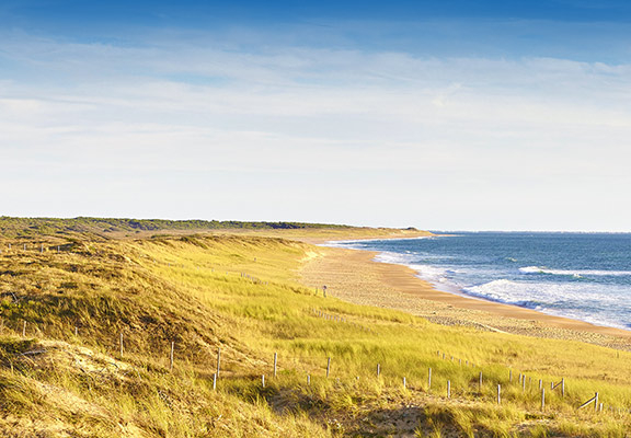 Les plages de Longeville-sur-Mer