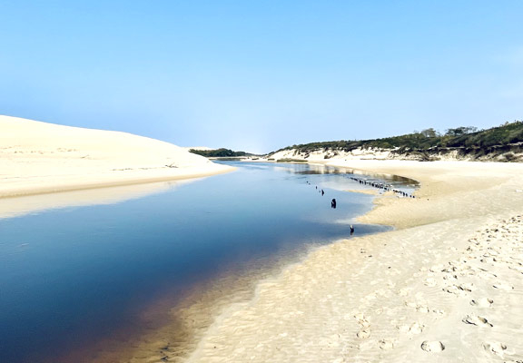 Camping sur la Côte d'Argent 