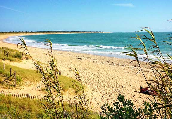 Un séjour dans les îles charentaises : plages et découvertes