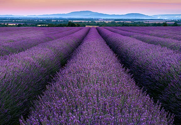 bandeau alpes de haute provence